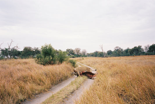 The Hunt